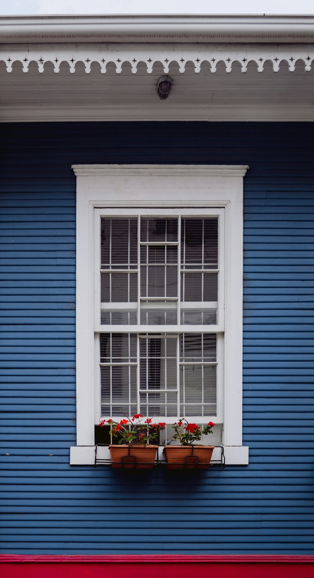 rote Blumen am Fenster