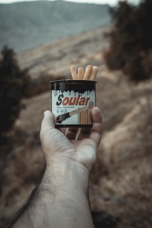 A hand holding a small tin can labeled 'Soular', filled with cylindrical cookie sticks, is in focus. The background features a blurred landscape with hills and trees, creating a soft, natural setting.