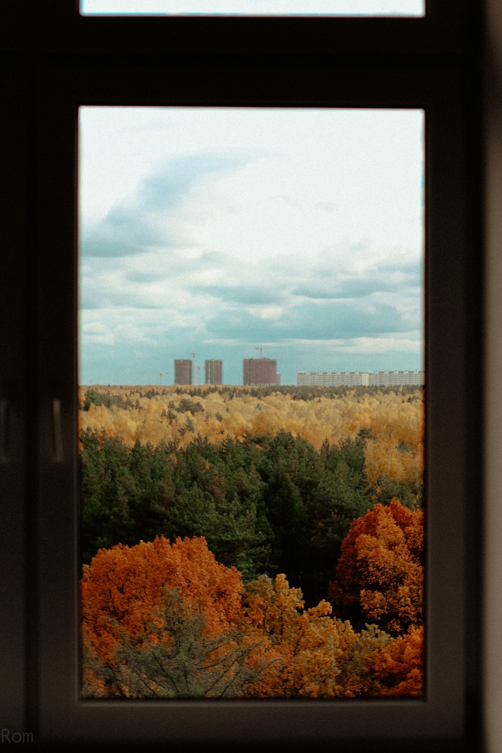 yellow and green trees