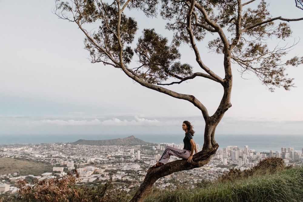 woman sitting on tree