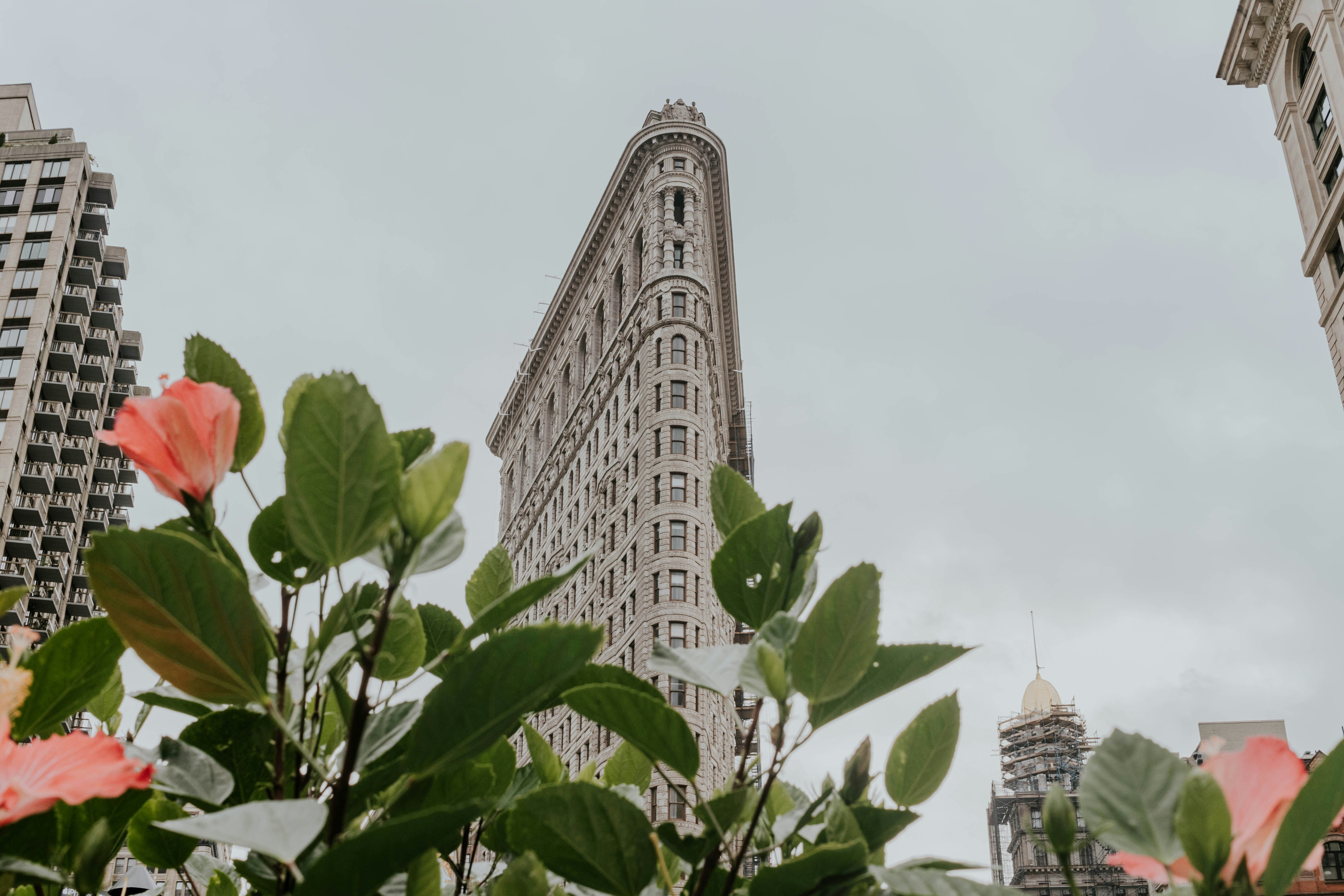 Cover Image for Flatiron Spring Walk
