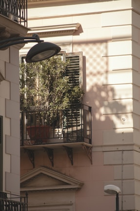 A small balcony with wrought iron railings holds a potted plant with green foliage in front of a set of wooden shutters. Sunlight casts intricate shadows on the light-colored building facade, with an overhead street lamp in the foreground.