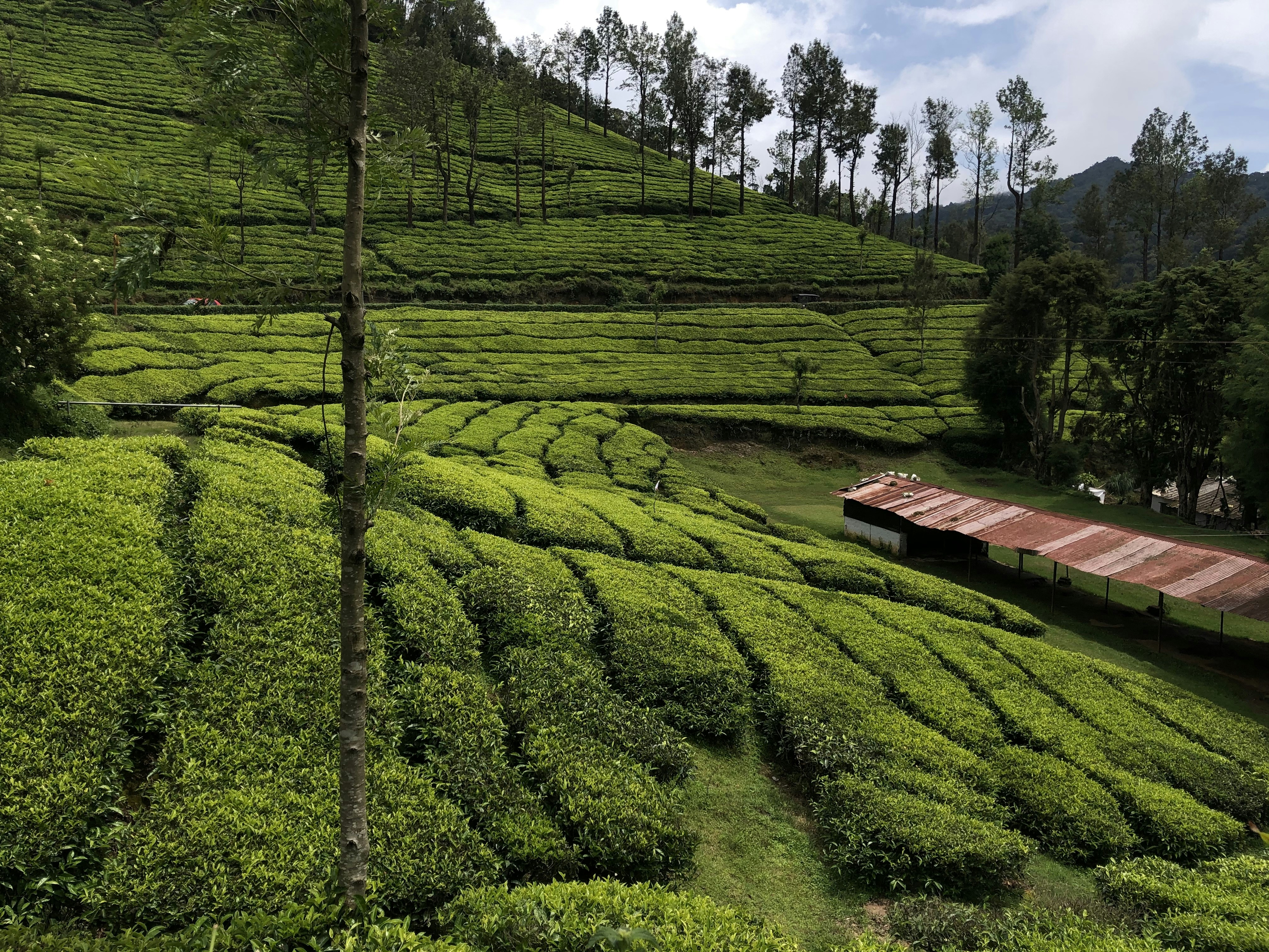 Photo by manishtangudu