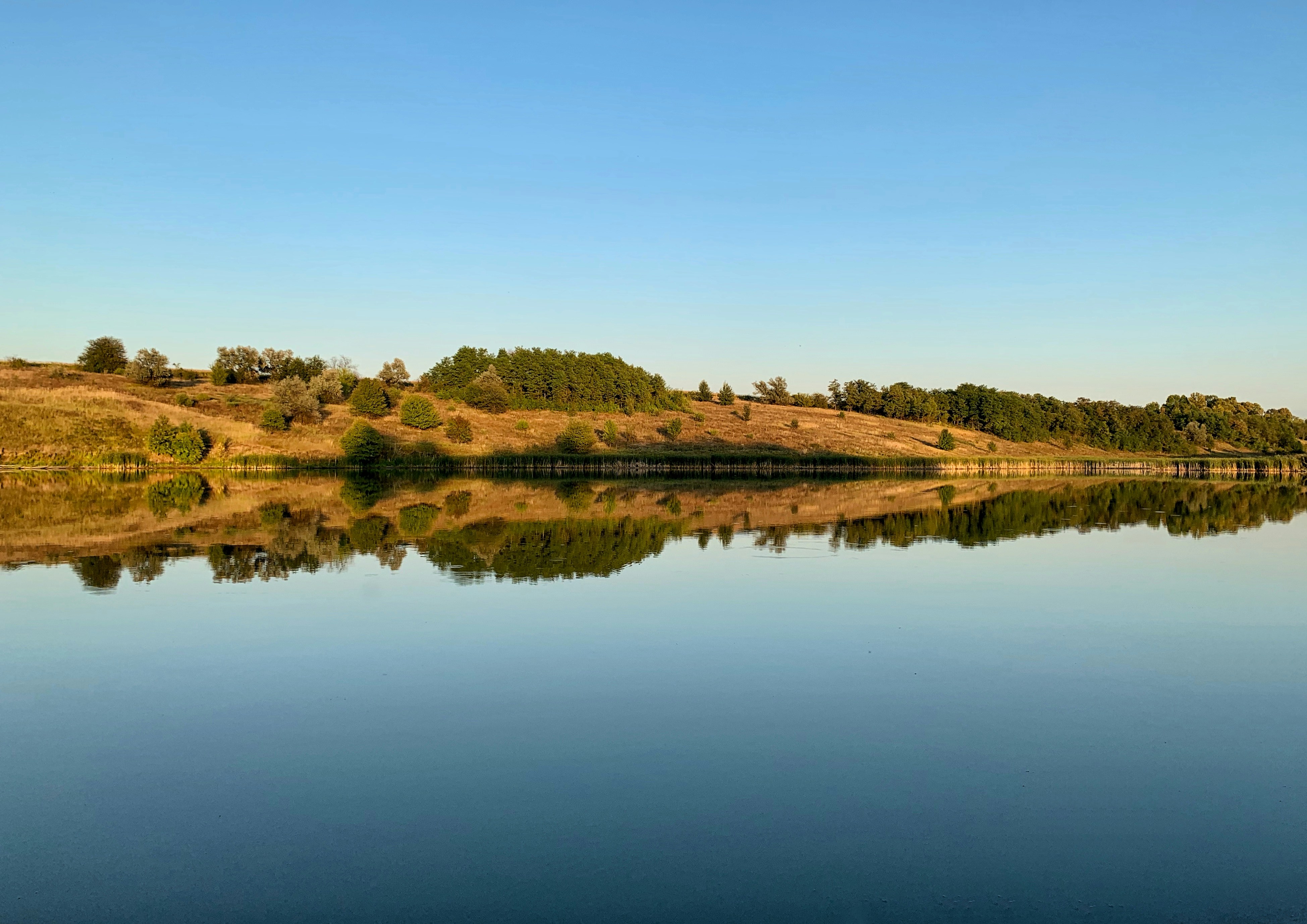 Photo by denis_proshuta