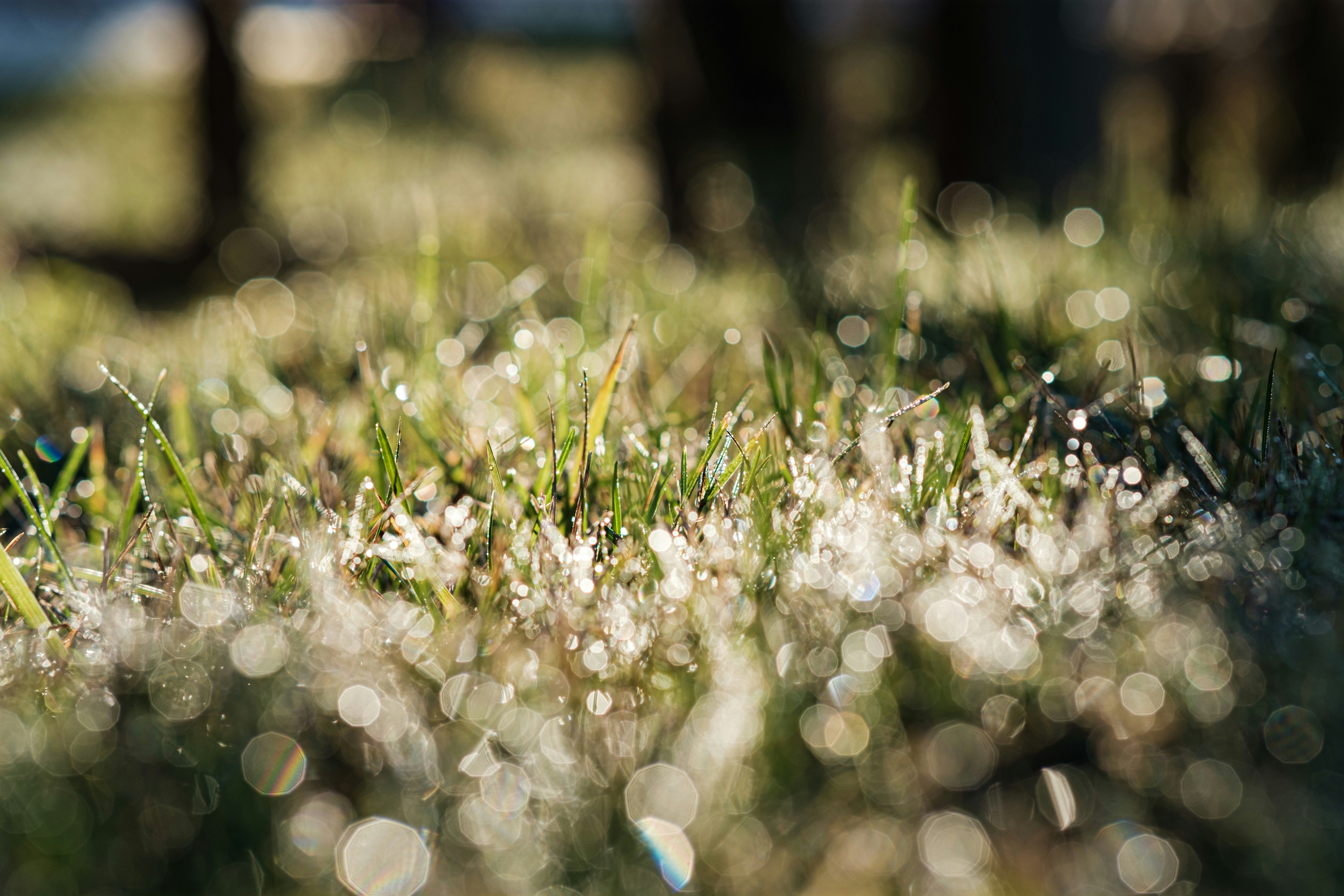 Photo by werewolf_31