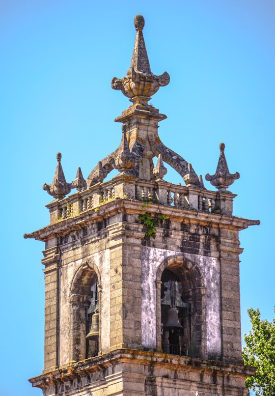 trees near brown concrete building in Amarante Portugal