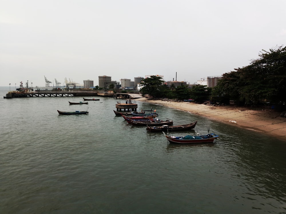 boats by the shore