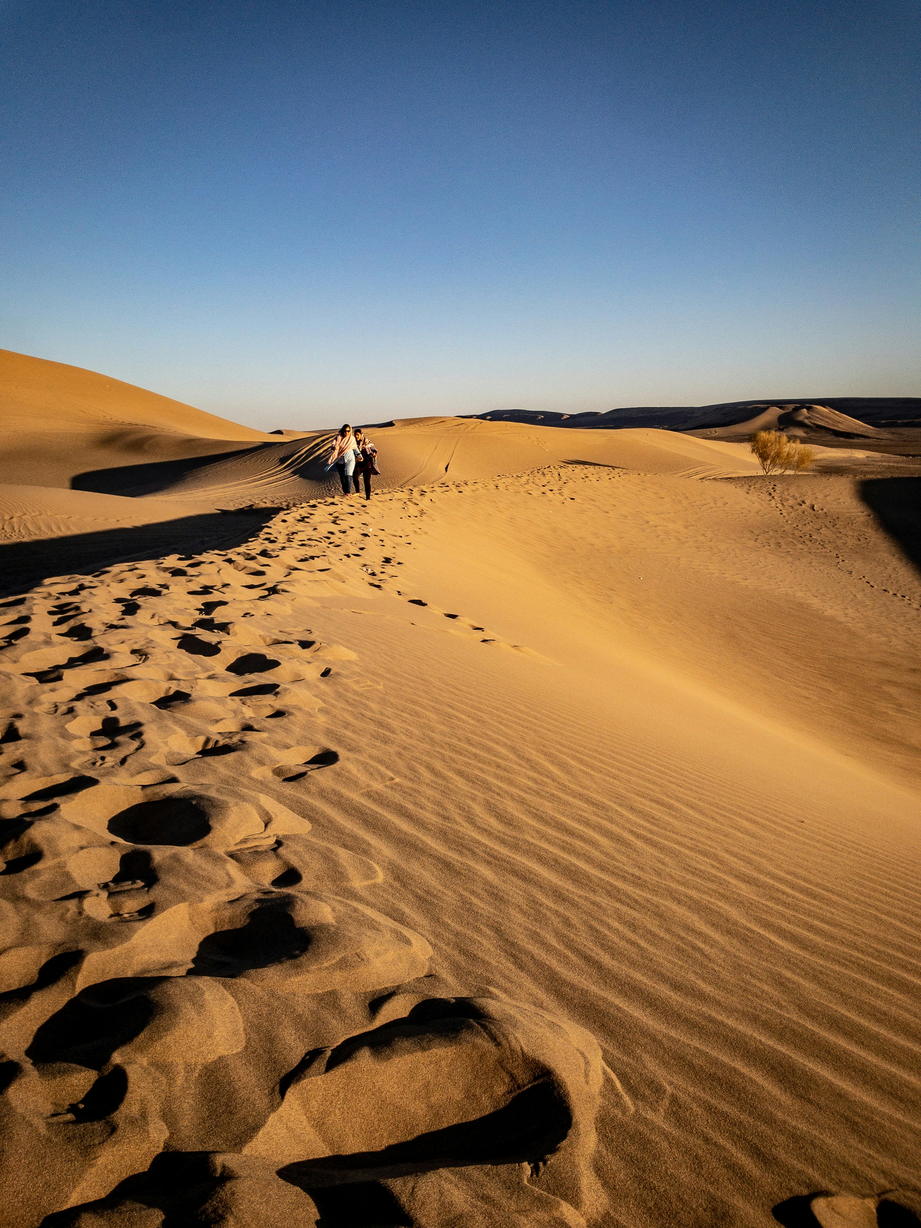 Photo by aurel__lens