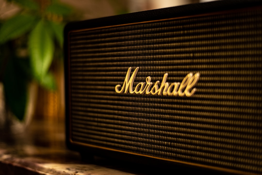 black Marshall speaker