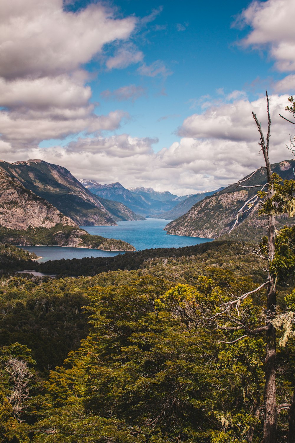 hills beside lake