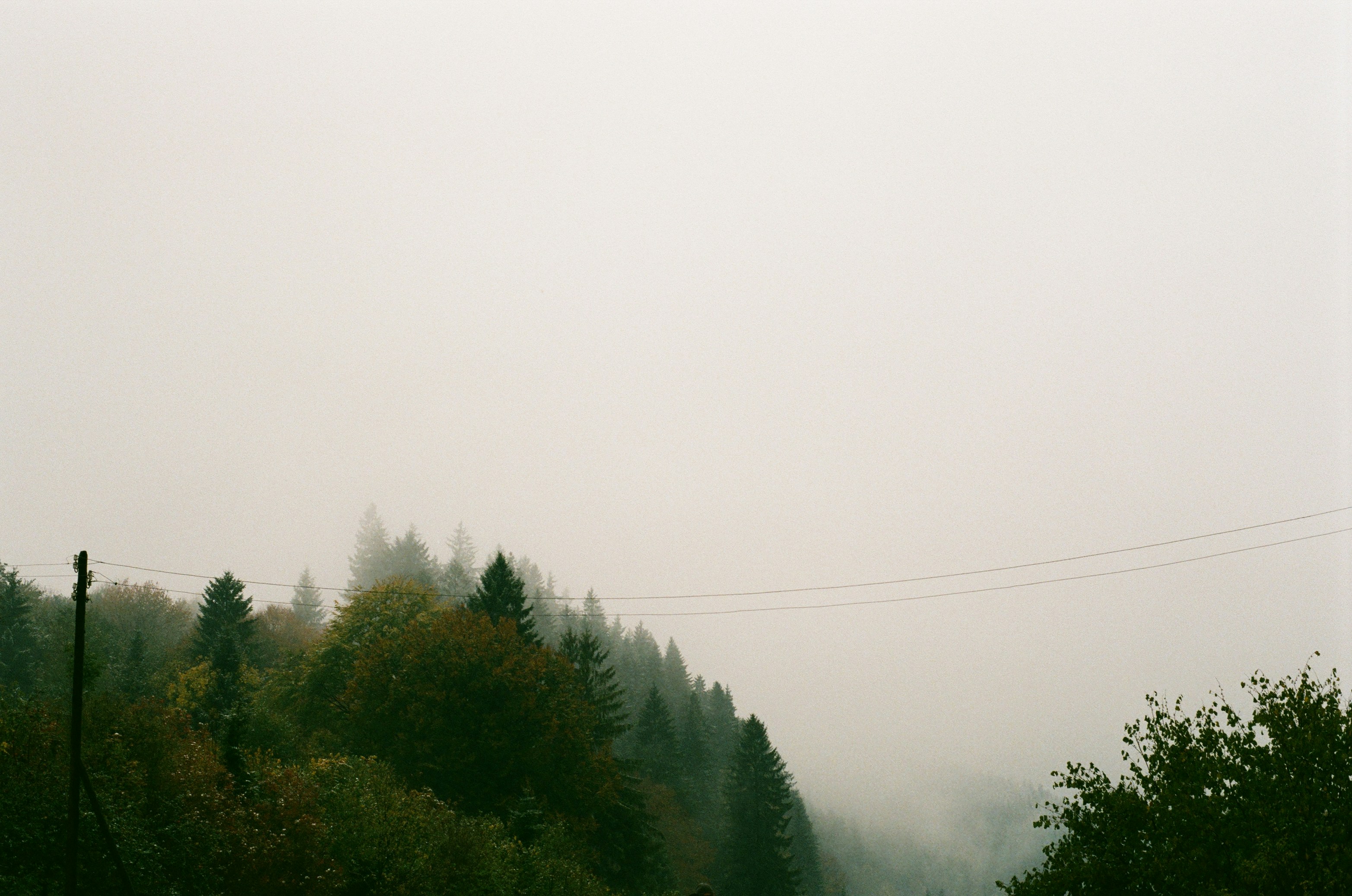 Photo by sashamatveeva