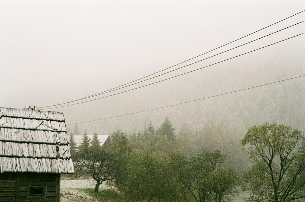 Una casa nel mezzo di una foresta nebbiosa