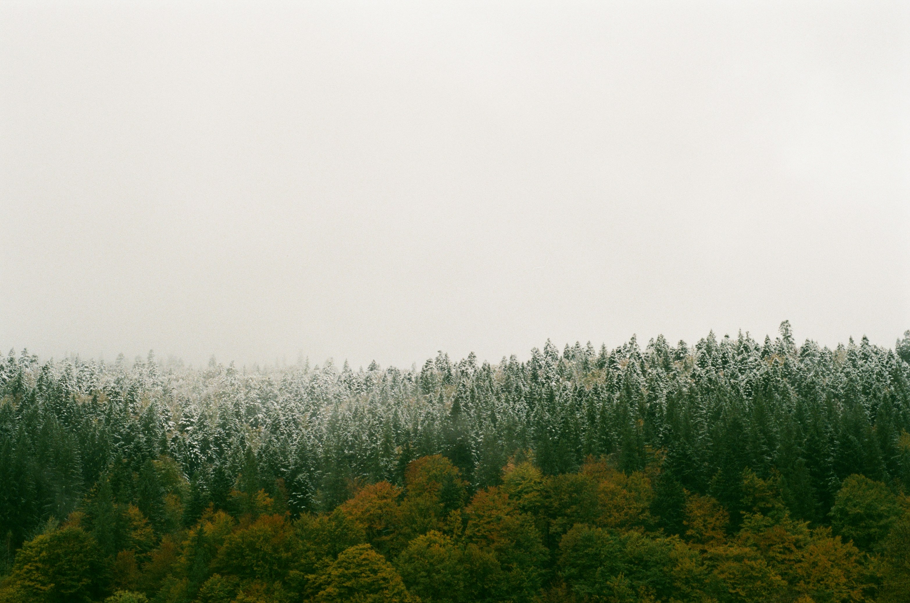 Photo by sashamatveeva