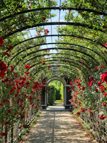 A sleek garden arbor framing a blooming rose pathway on a sunny afternoon.