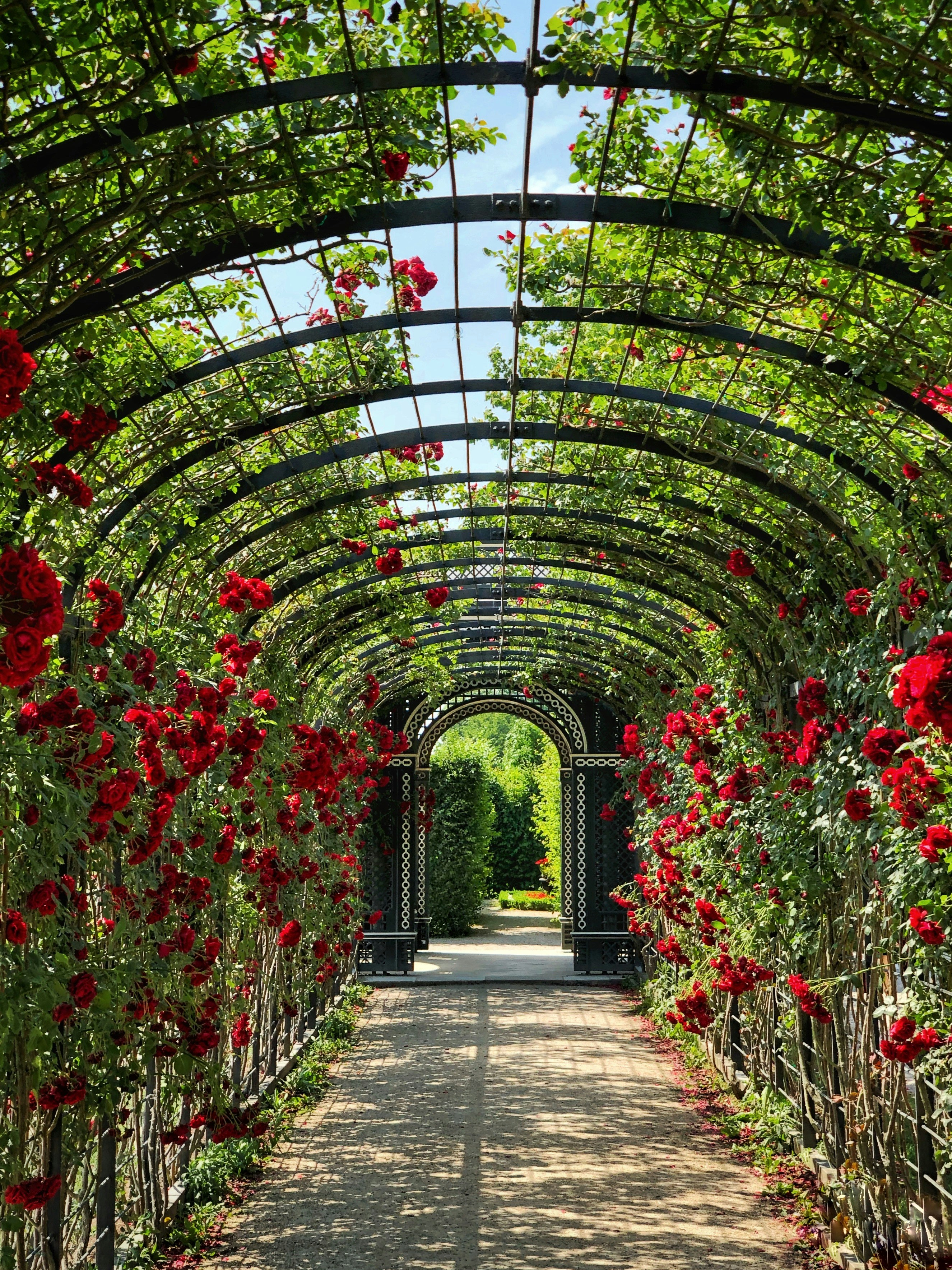 Best Place To Buy Seeds For Garden
