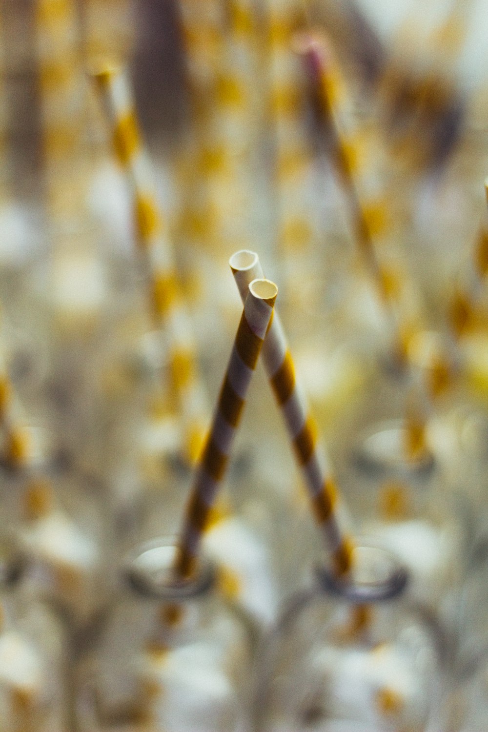 bottles with striped straws