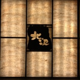 Image of a site section featuring artistic background patterns that add personality.