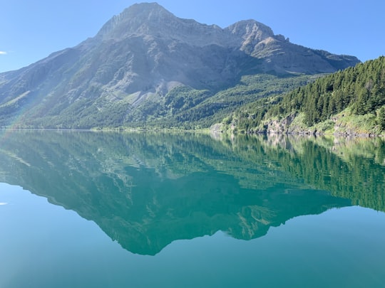 body of water viewing mountain under blue and white sky during daytime in Waterton Canada