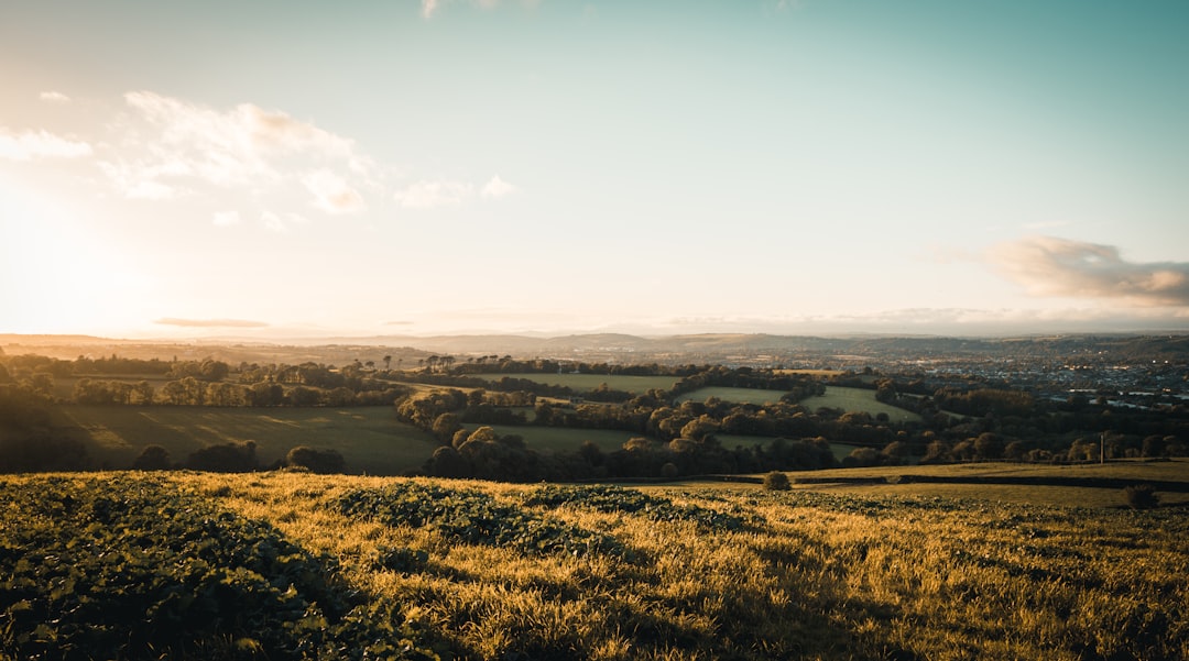 Travel Tips and Stories of Cork in Ireland