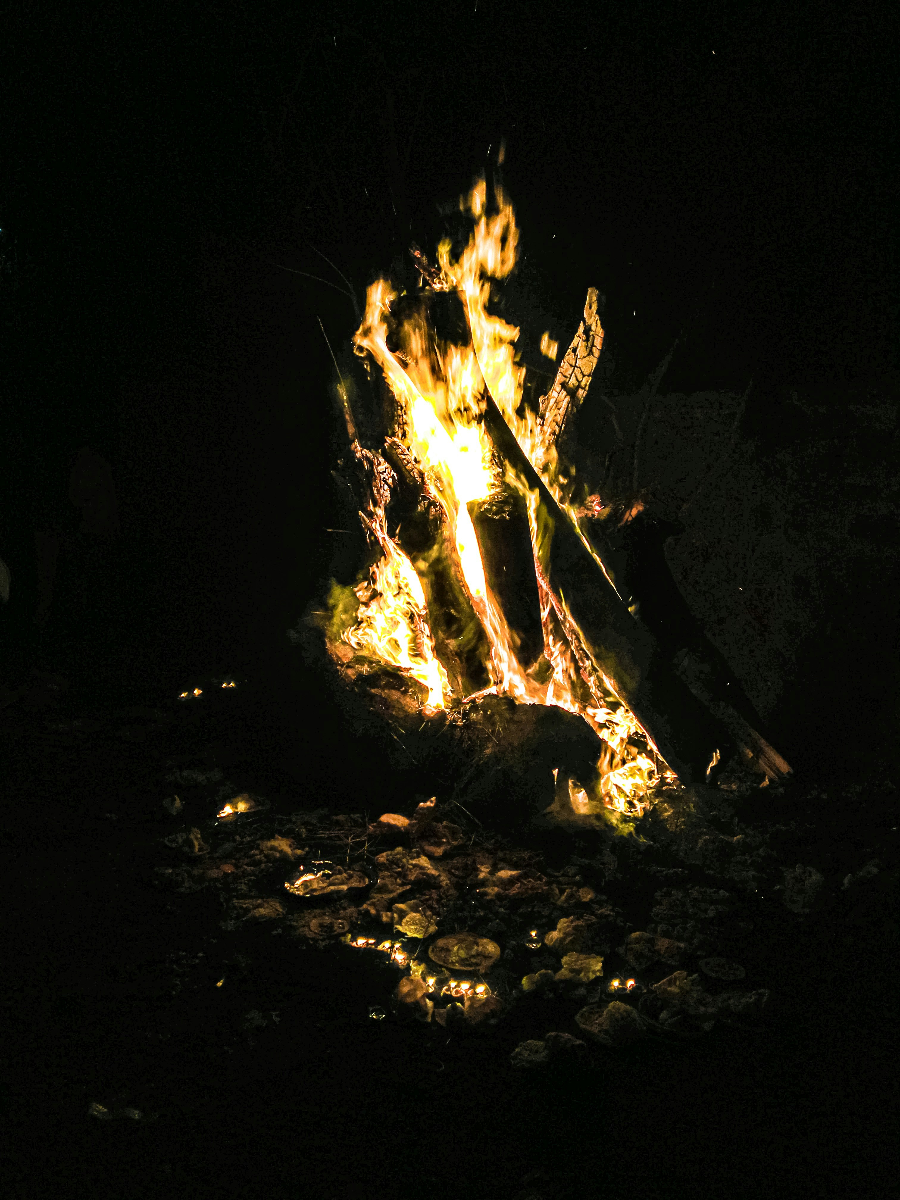 Photo by ausarkar_omkar