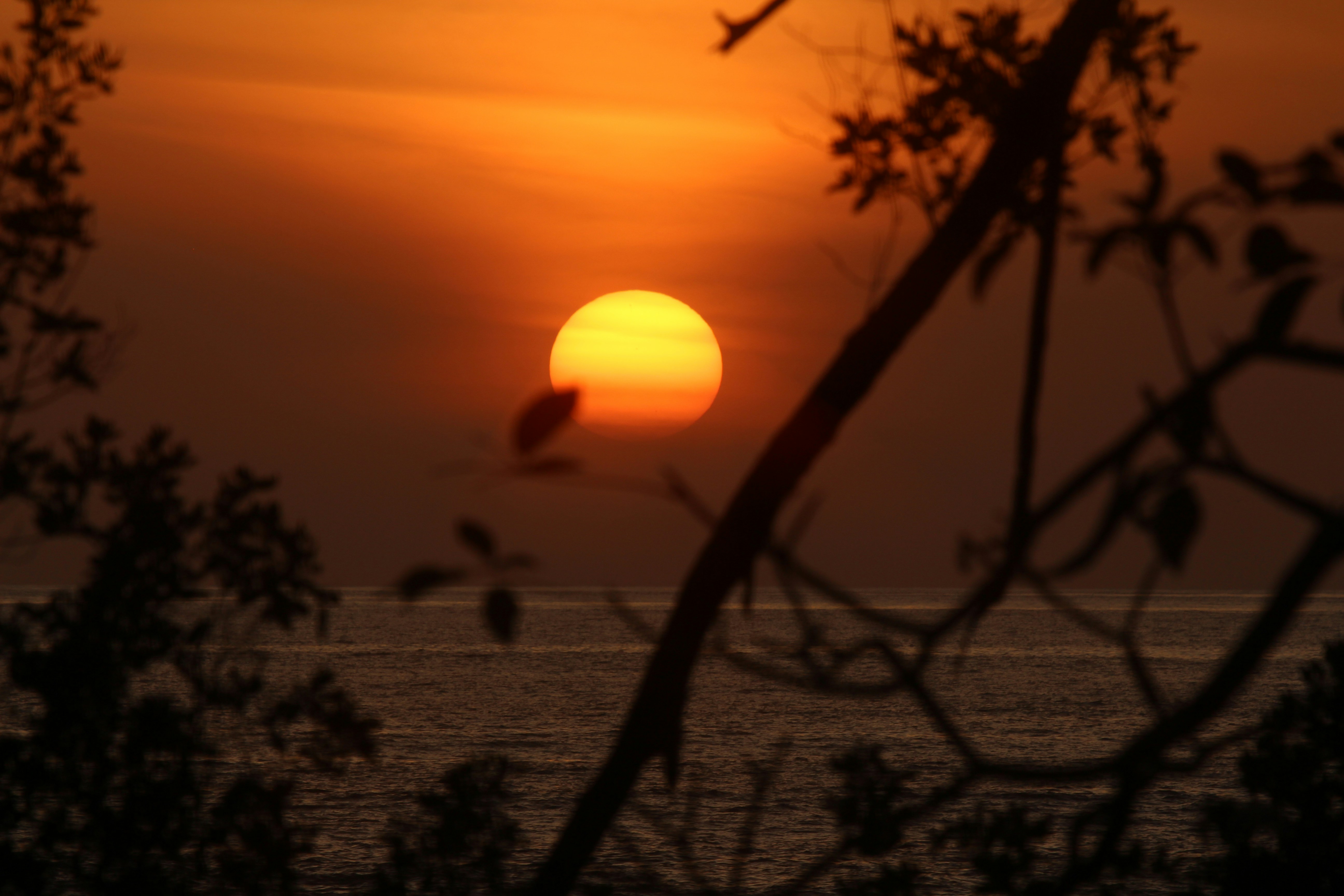 Photo by marcusdallcol