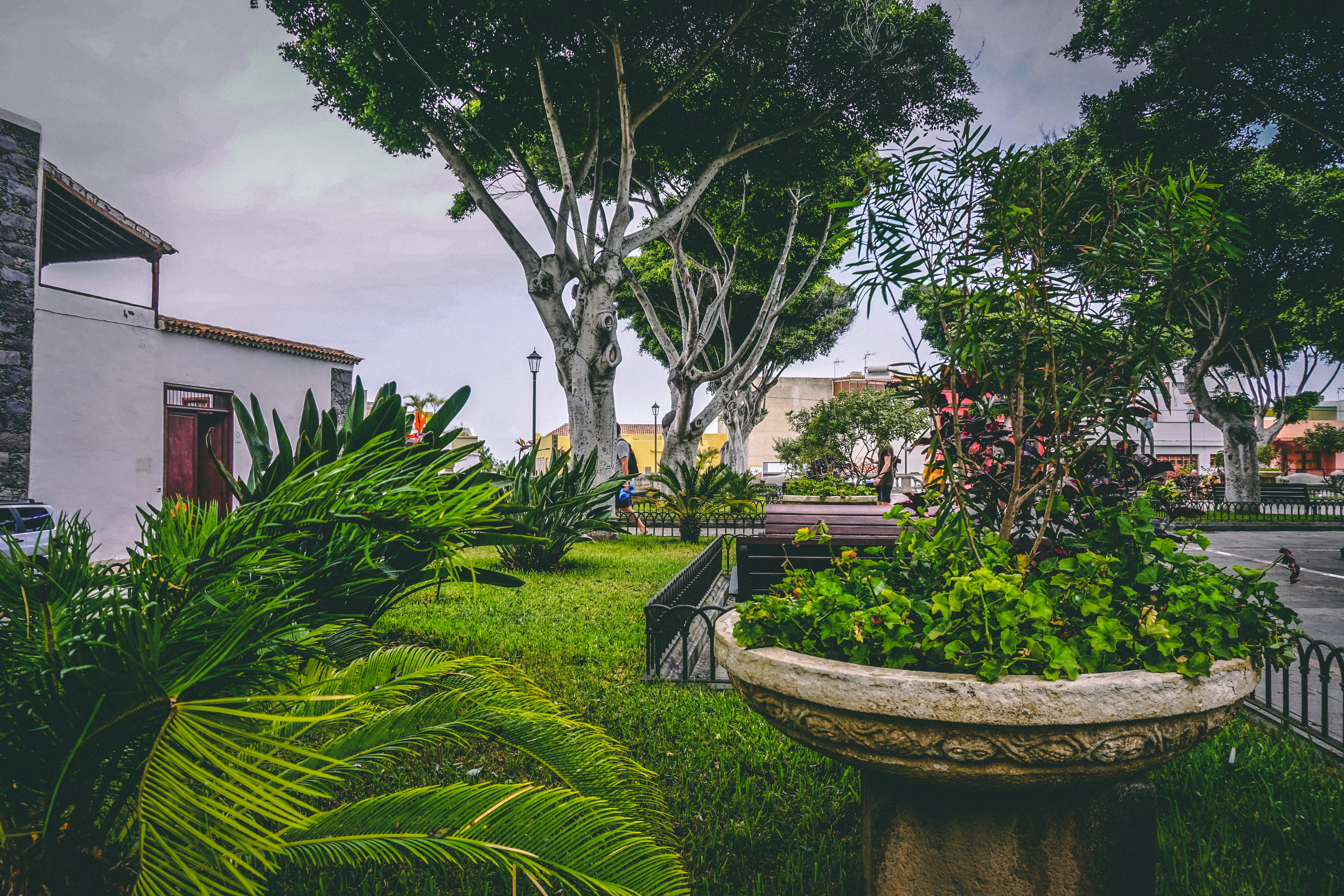 Photo by milkandbourbons