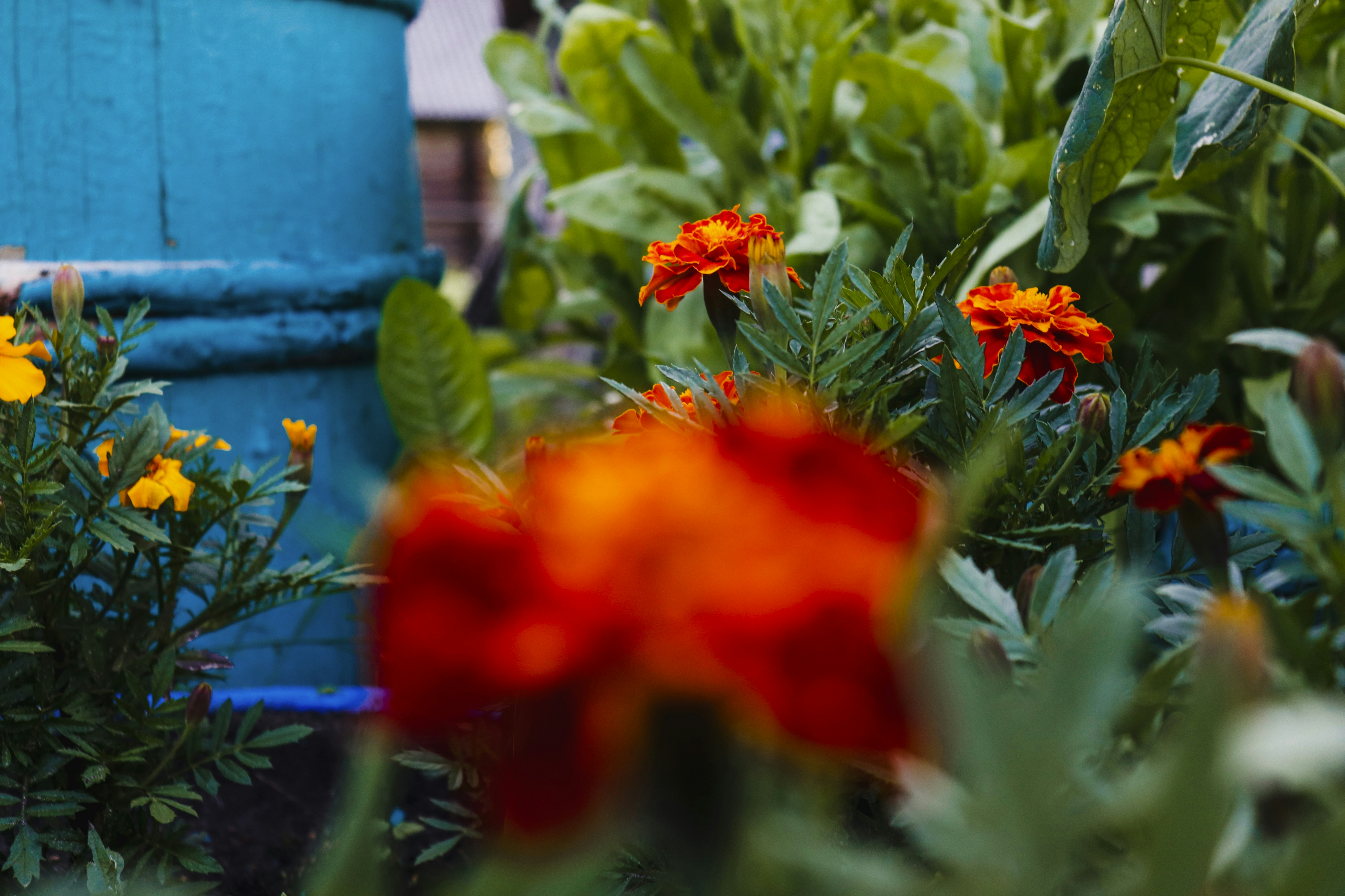 Photo by ladislav_sh