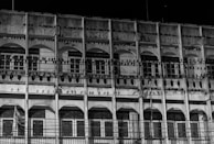 Before-and-after images showing a clean building facade after bird removal.