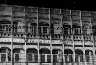 Before-and-after images showing a clean building facade after bird removal.