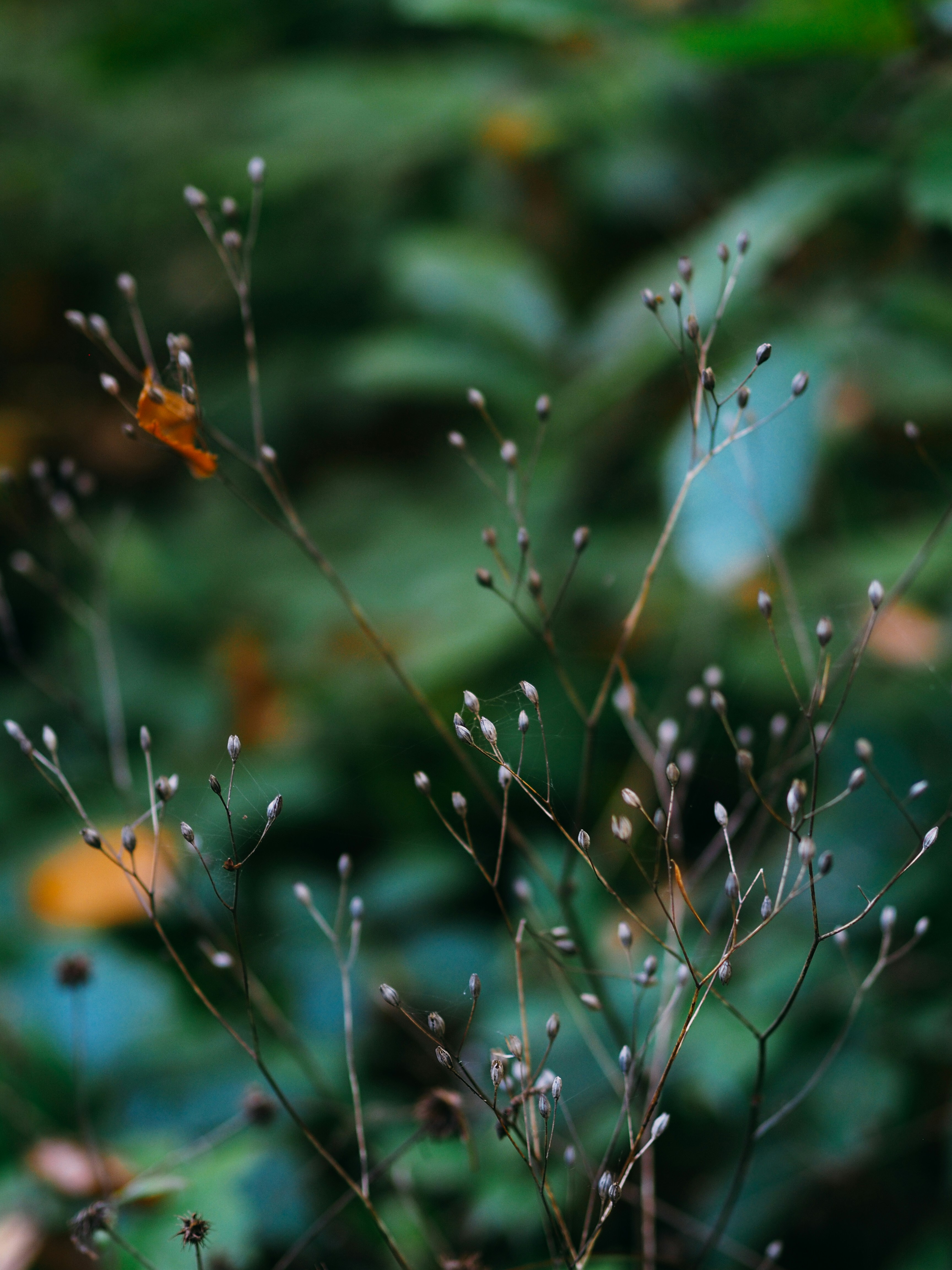 Photo by brechtdenil