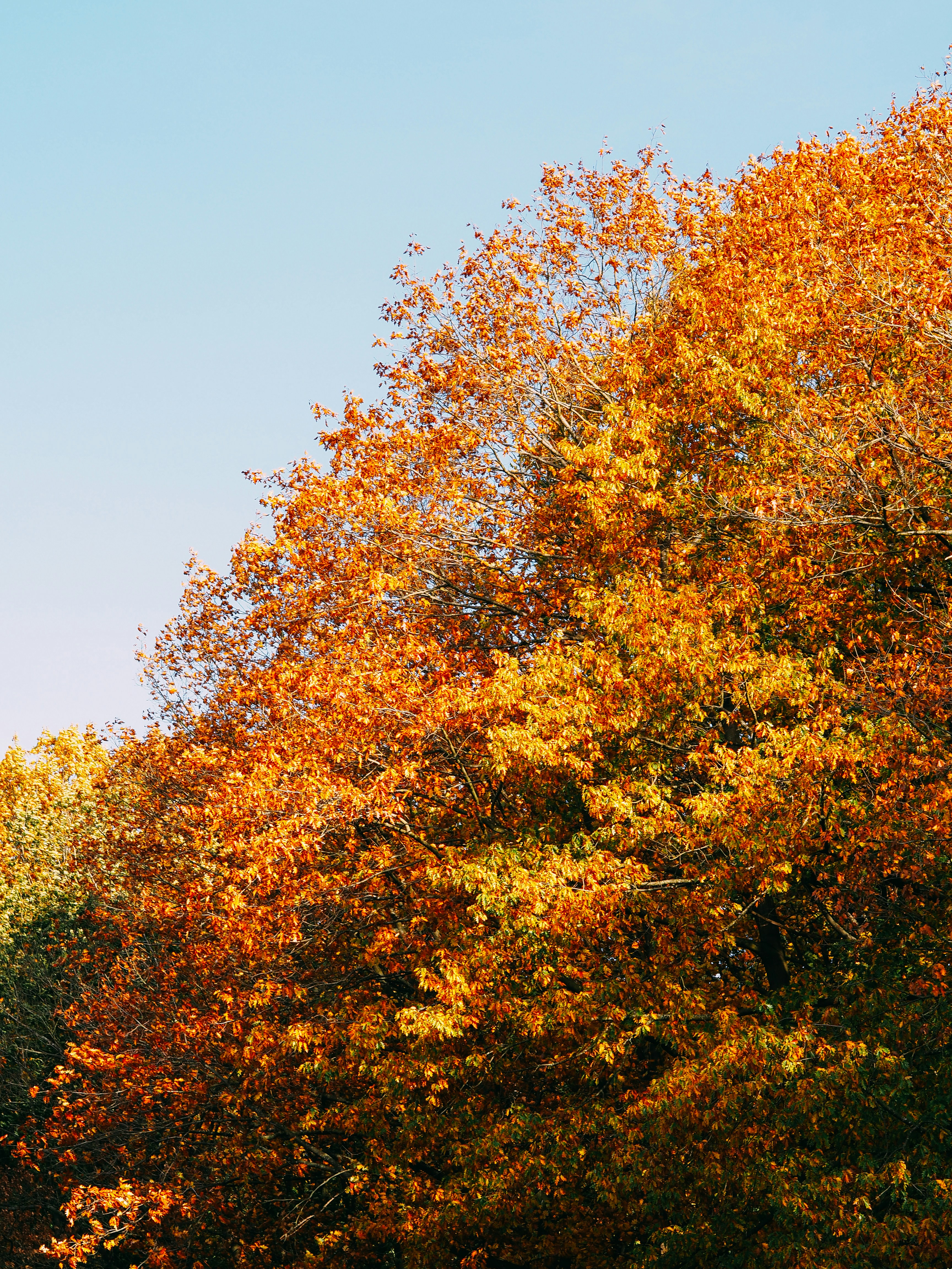 Photo by brechtdenil