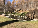 A serene forest scene features tall trees with autumn foliage surrounding small wooden cabins. A clear stream flows through the landscape, with scattered rocks along its banks. People are walking near the cabins, enjoying the natural setting.