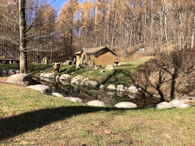 A serene forest scene features tall trees with autumn foliage surrounding small wooden cabins. A clear stream flows through the landscape, with scattered rocks along its banks. People are walking near the cabins, enjoying the natural setting.