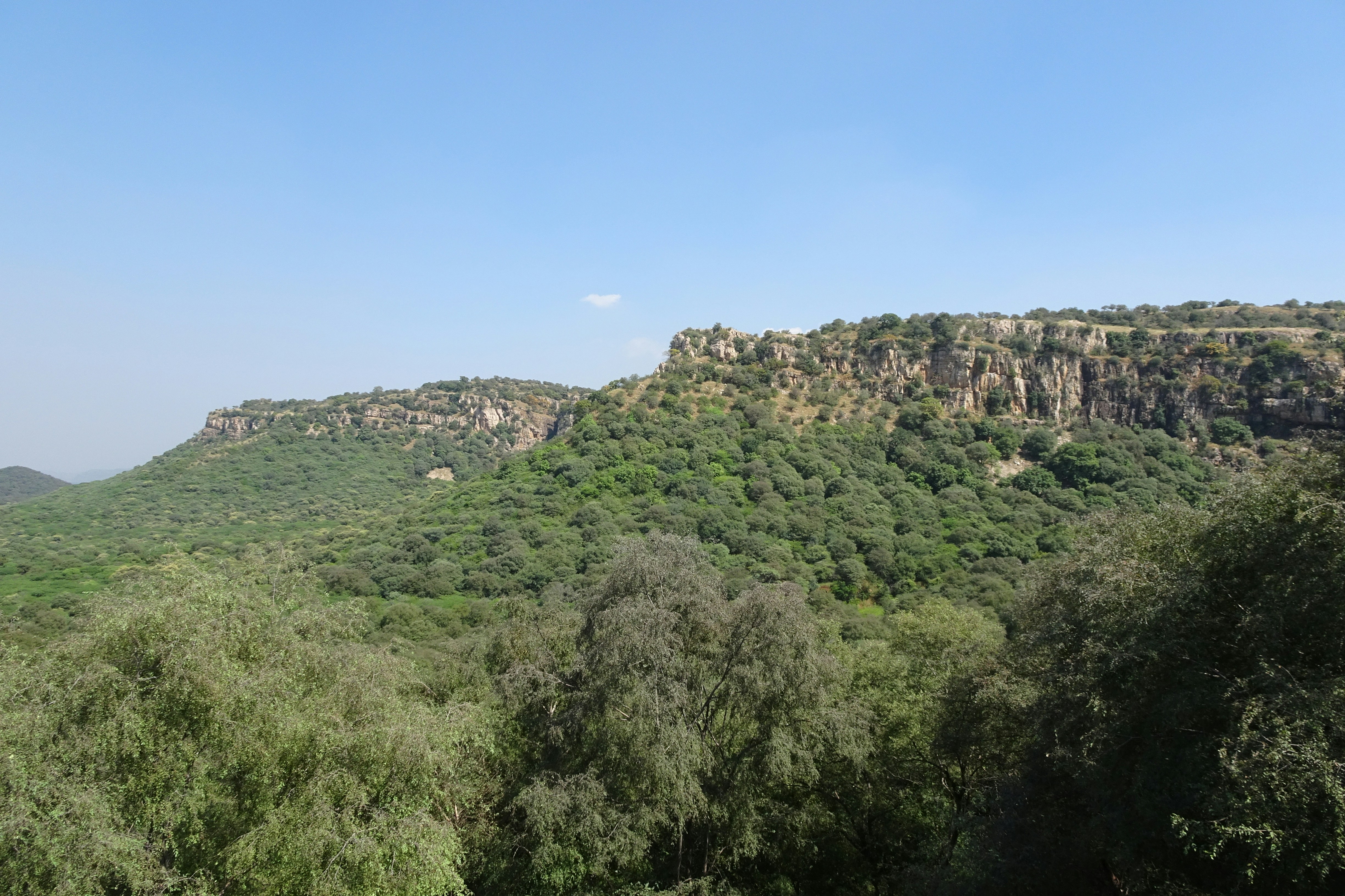 aerial photography of forest viewing mountain under blue and white sky during daytime