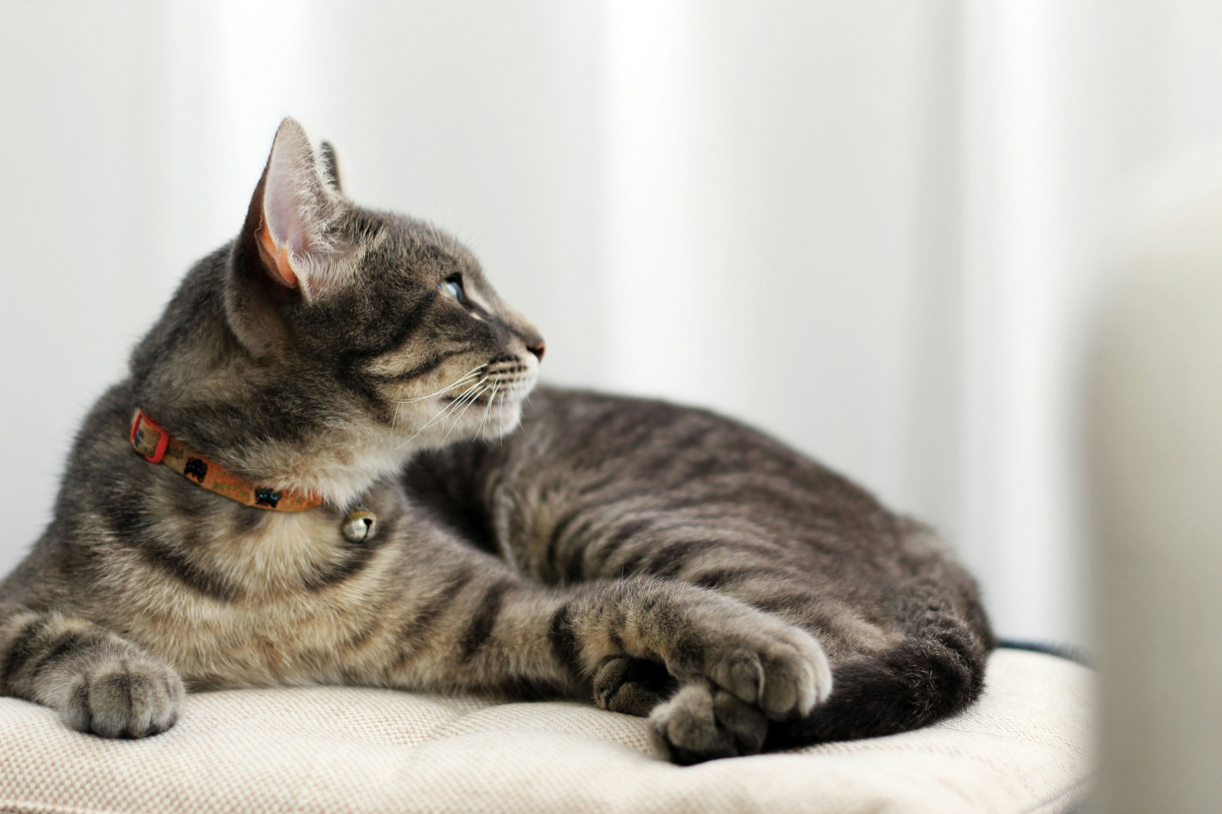 Photo by taylabrandpics