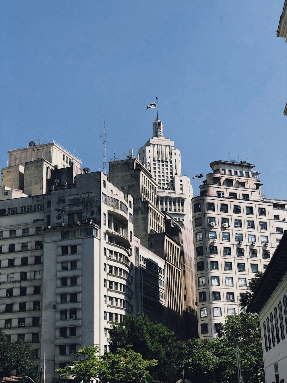 edifícios altos sob o céu azul