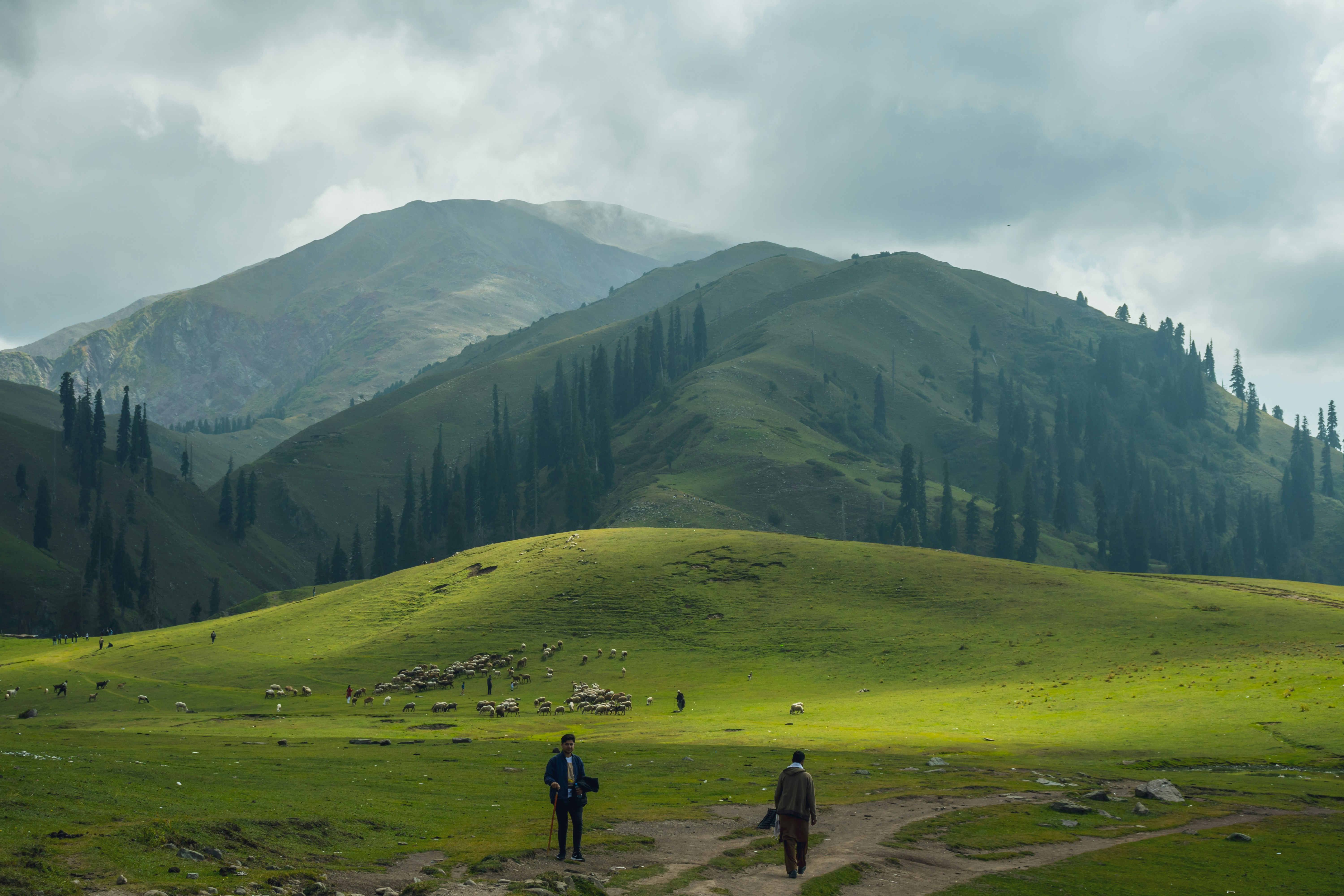 Photo by sabeerdarr