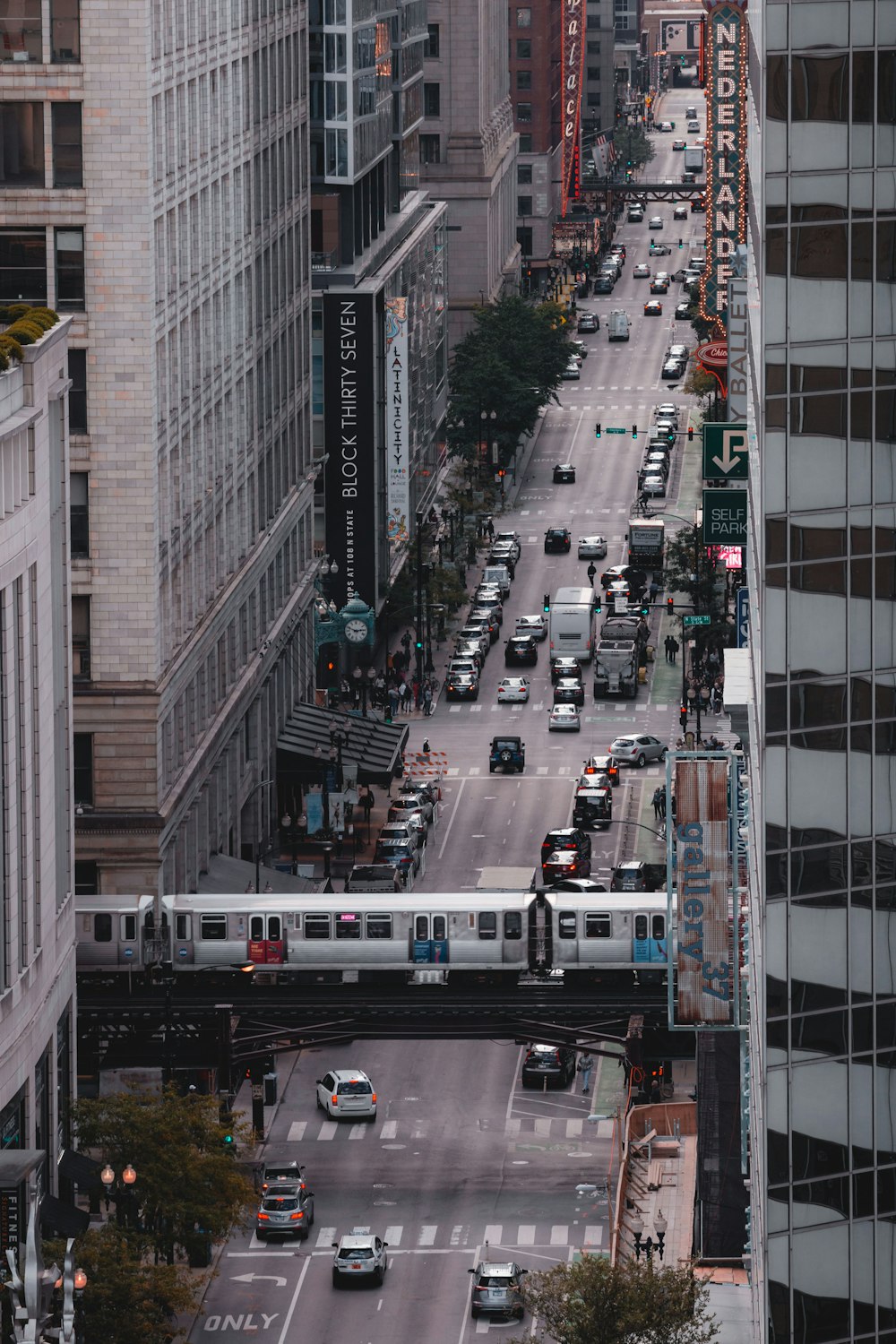 cars parked on road between high-rise buildings