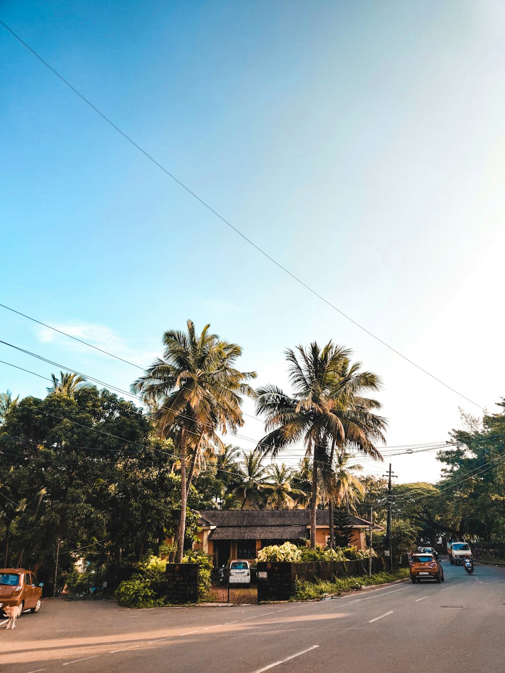 vehicles passing by a street beside a house