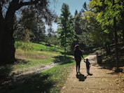 A serene park scene with a parent and child enjoying time together.