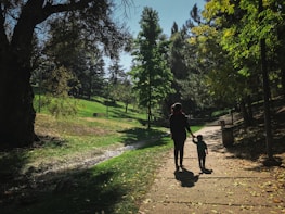 A peaceful moment of a mother and child walking hand-in-hand through a park.