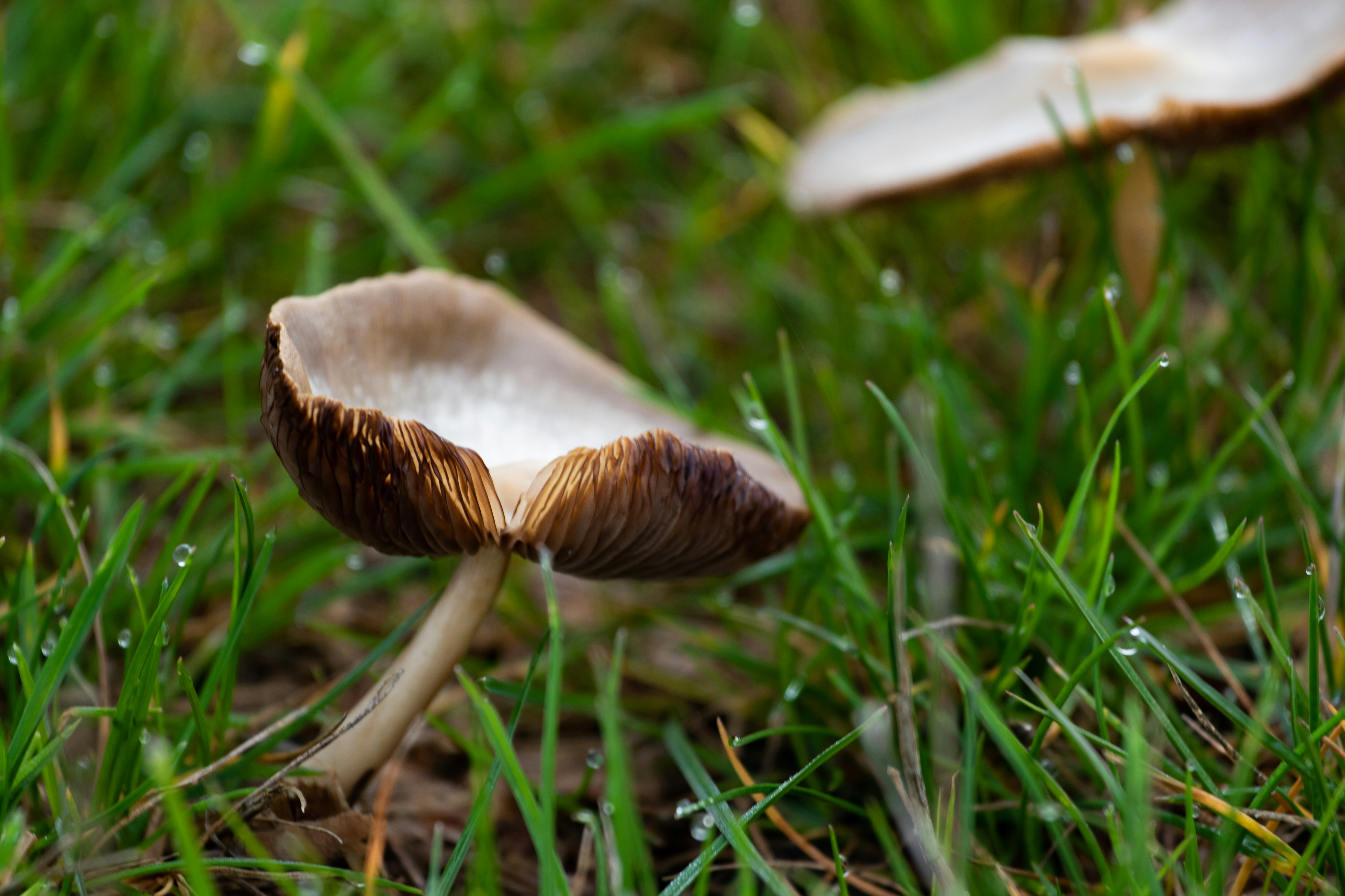 Photo by theotherkev