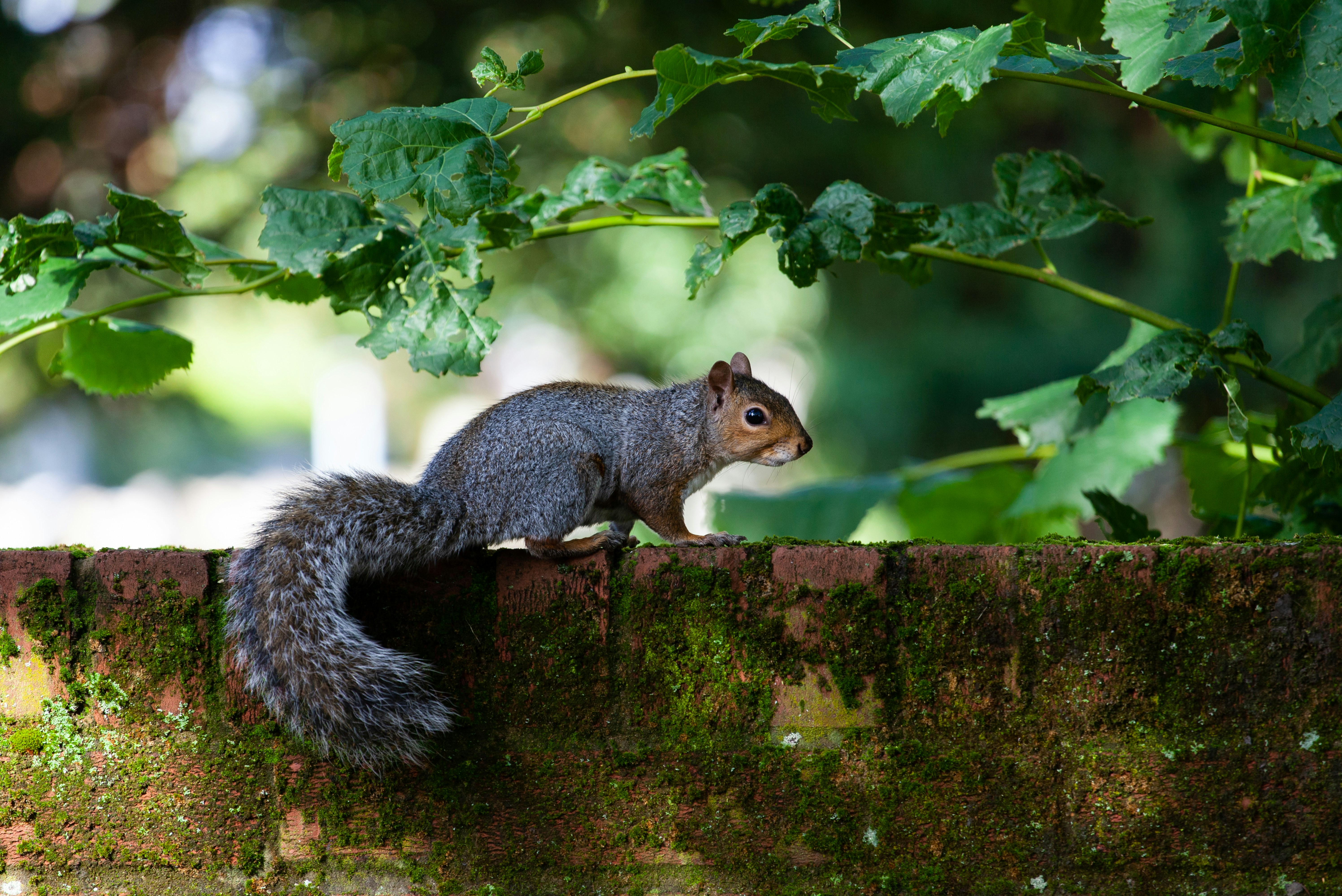 Photo by theotherkev