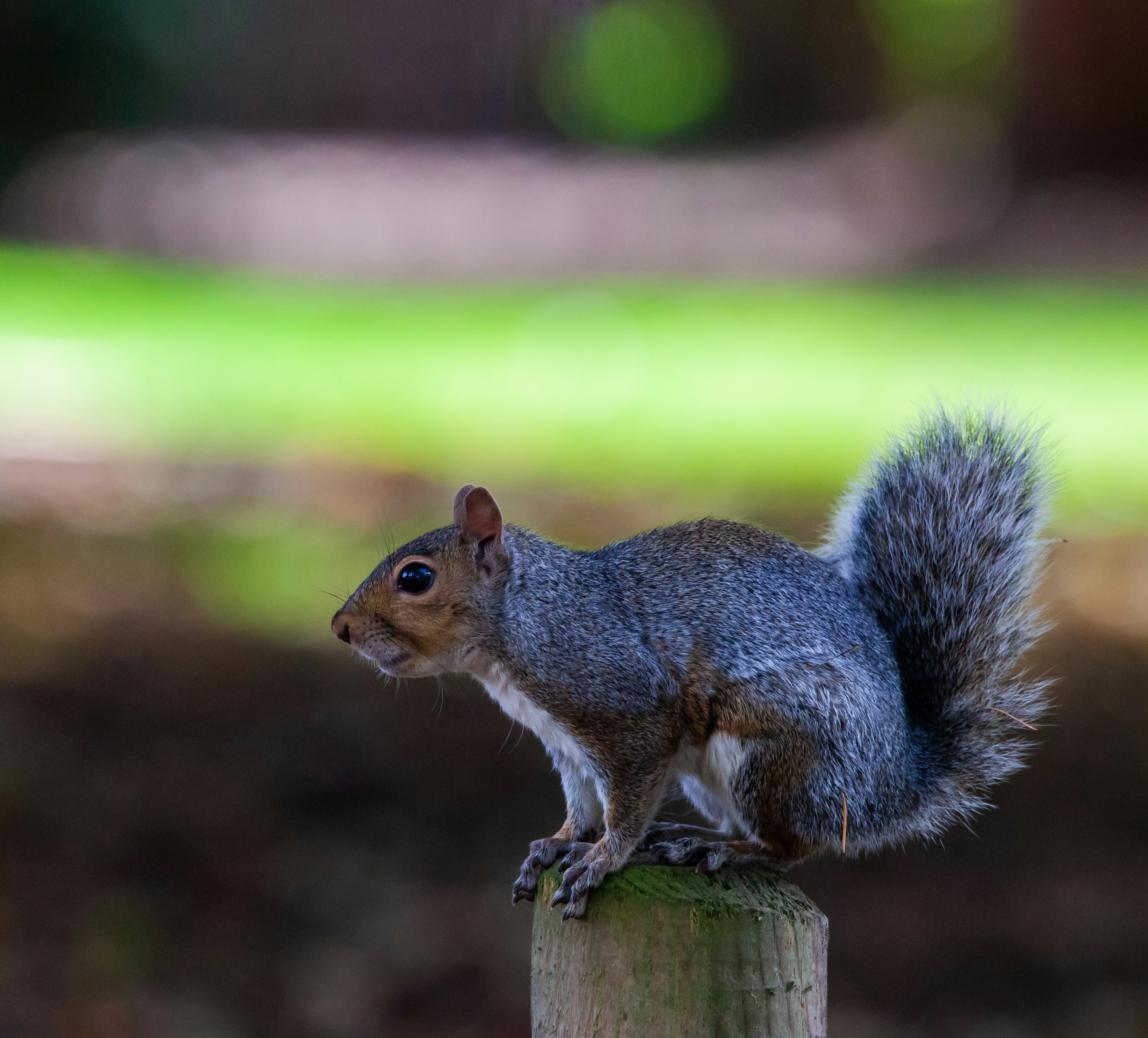 Photo by theotherkev