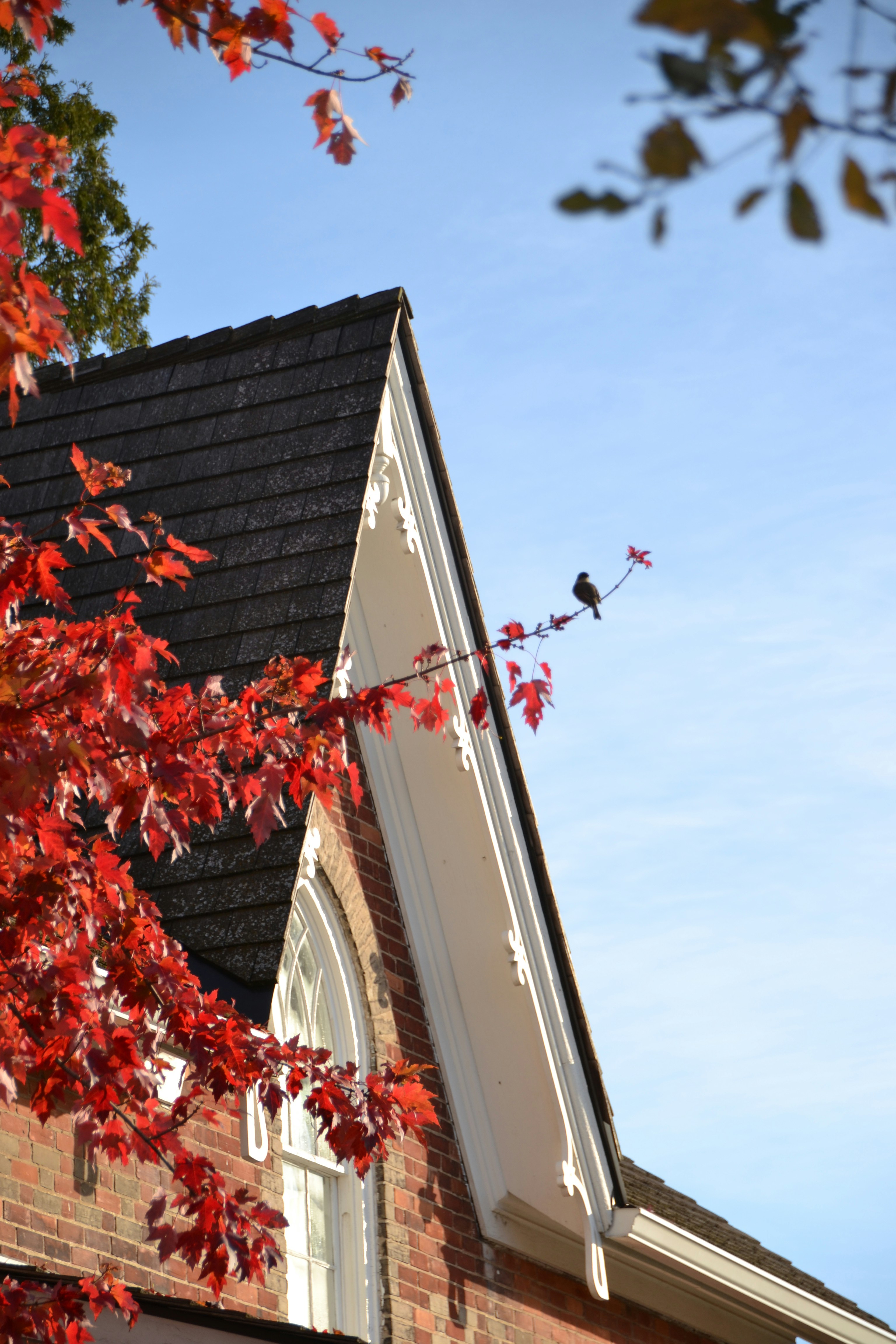 Photo by sassygreenboots