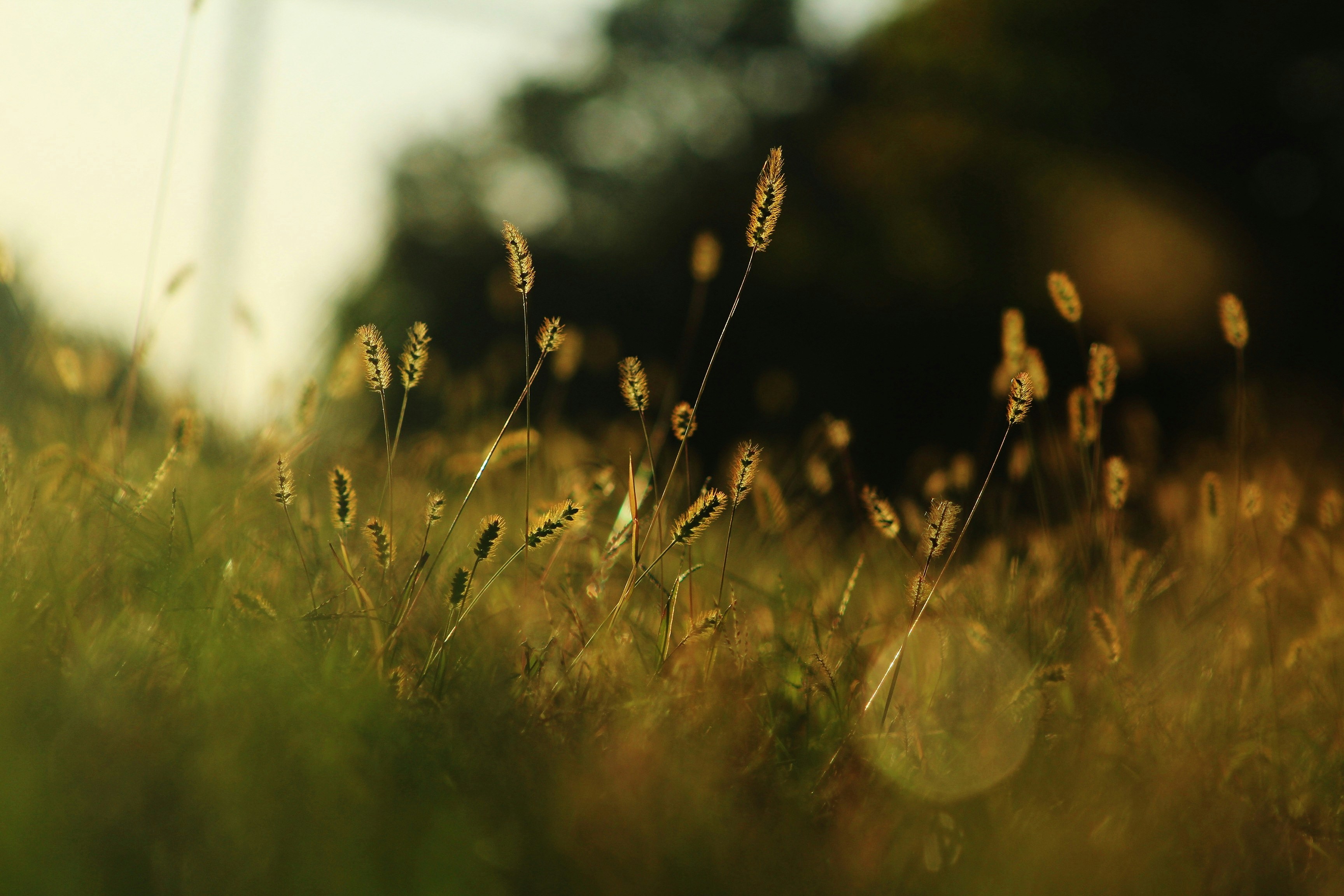 Photo by meghanschiereck