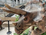A realistic sculpture of a triceratops dinosaur with detailed scales and pronounced horns, placed on an artificial grass setting. The background includes metal railings and a staircase, indicating that the sculpture is situated in an indoor area, possibly a mall. Potted plants and a shopping center environment contribute to the setting.