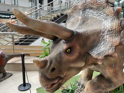A realistic sculpture of a triceratops dinosaur with detailed scales and pronounced horns, placed on an artificial grass setting. The background includes metal railings and a staircase, indicating that the sculpture is situated in an indoor area, possibly a mall. Potted plants and a shopping center environment contribute to the setting.