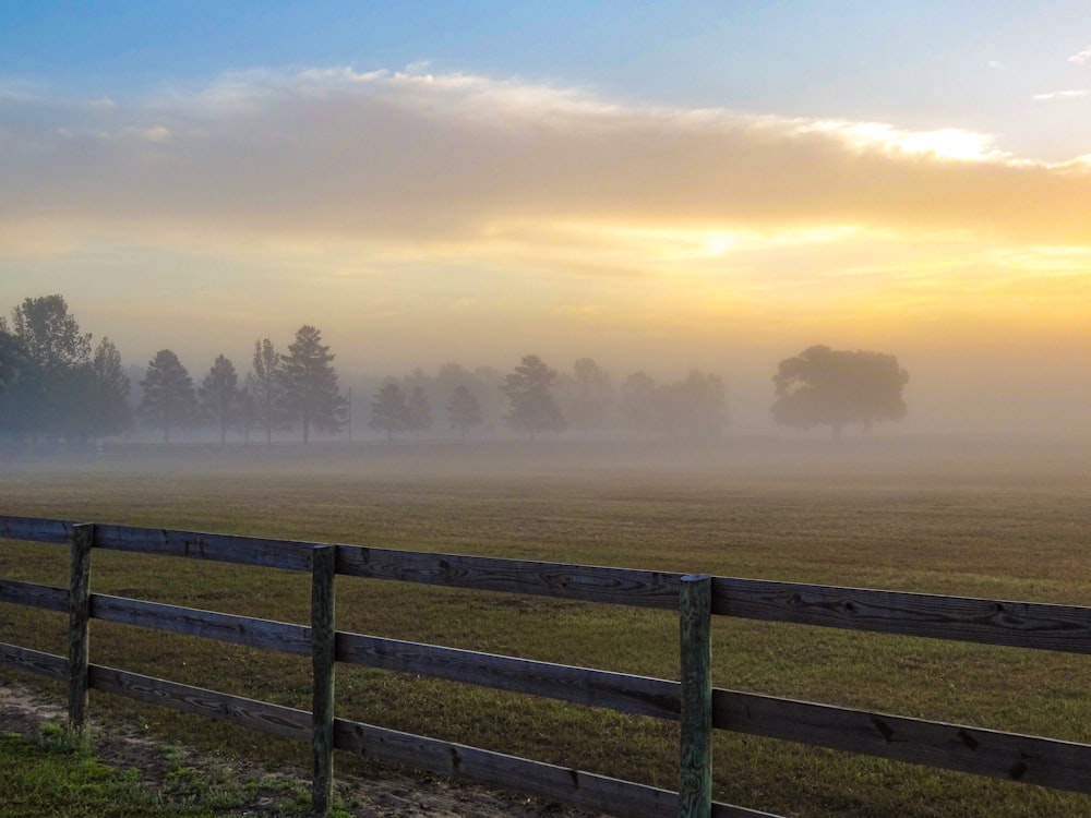 gray wooden fence