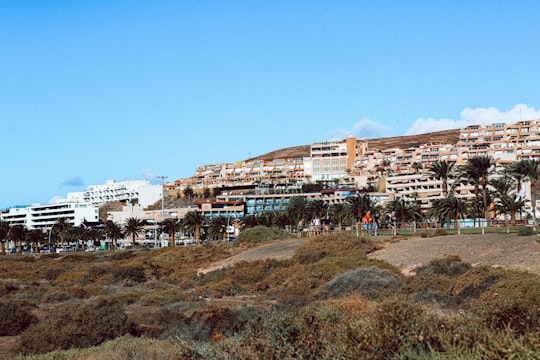 buildings near plants during day in Morro Jable Spain